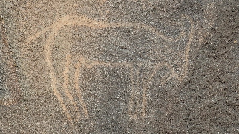 Reiseführer-Landkarte K15: Auf steiniger Spurensuche, Foto: marokko-erfahren.de